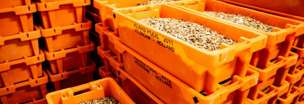 Goeree-Overflakkee is ook lid van Accessy!