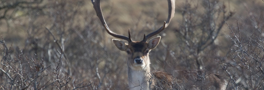 Noordwijk is ook lid van de Club!